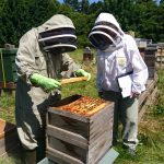 George Young, Fife member, (left) being examined for his SBA Basic Beekeeper Exam by Margaret Thomas, 2017