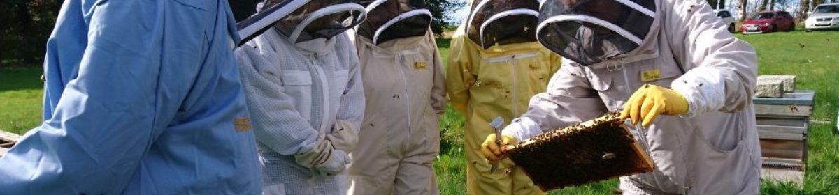 Beekeeping Fife