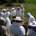Beg Muirside 2009 1